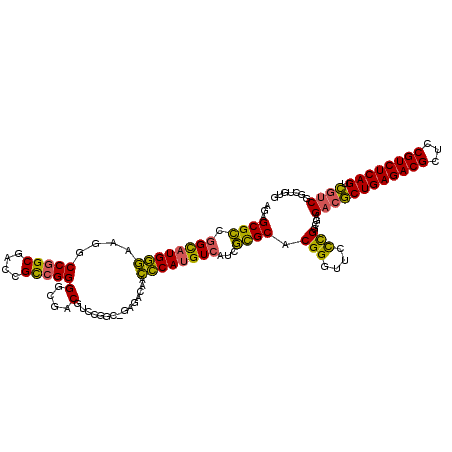 secondary structure