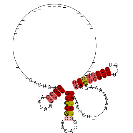 secondary structure