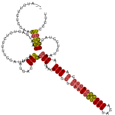 secondary structure