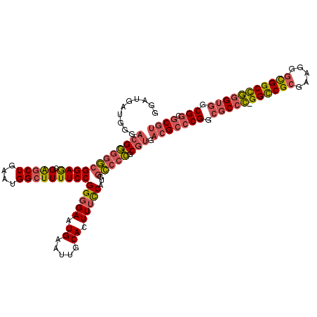 secondary structure