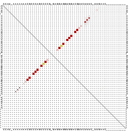 dotplot