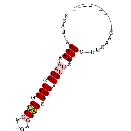 secondary structure