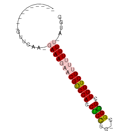 secondary structure
