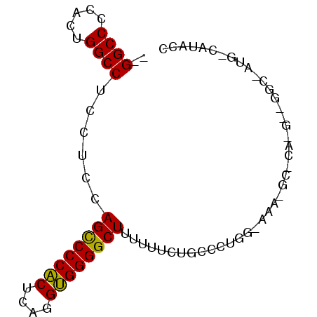 secondary structure