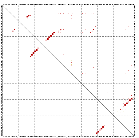 dotplot
