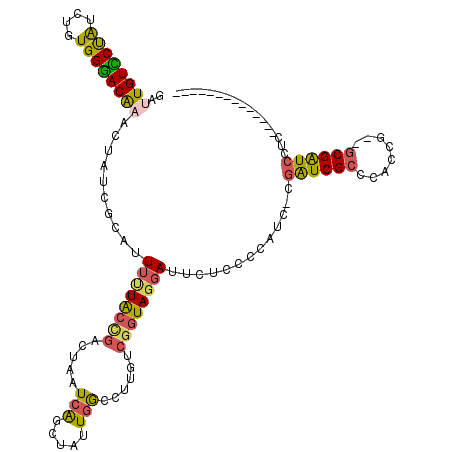 secondary structure