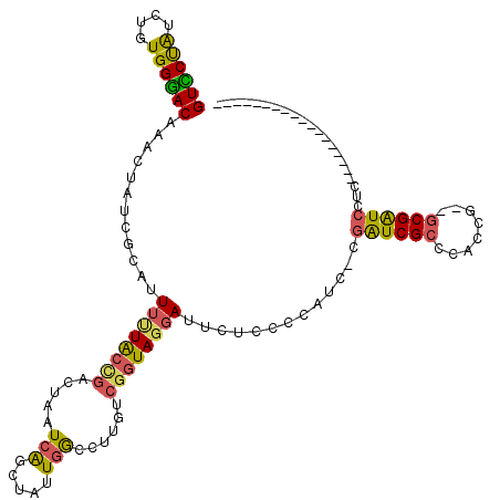 secondary structure