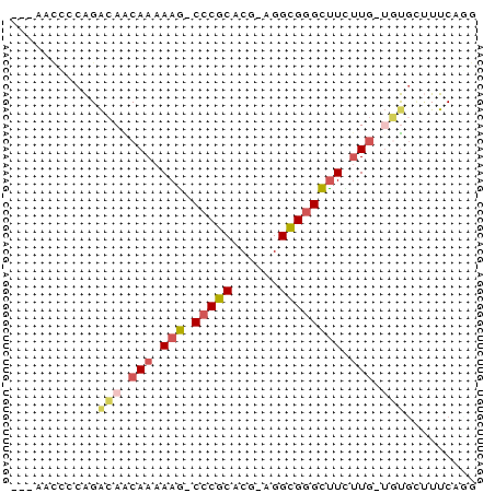 dotplot
