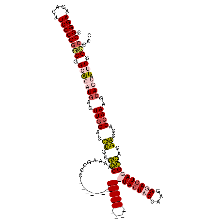 secondary structure