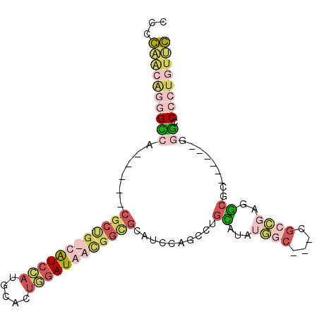 secondary structure
