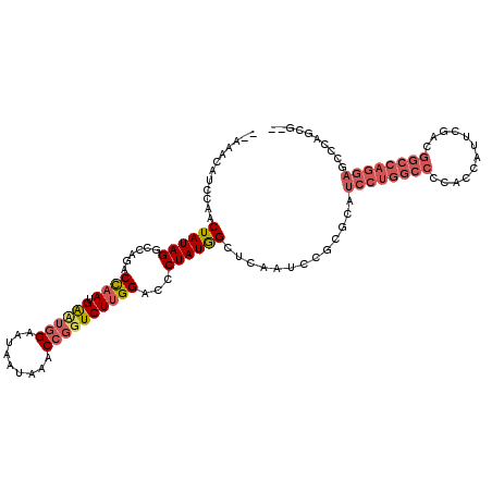 secondary structure