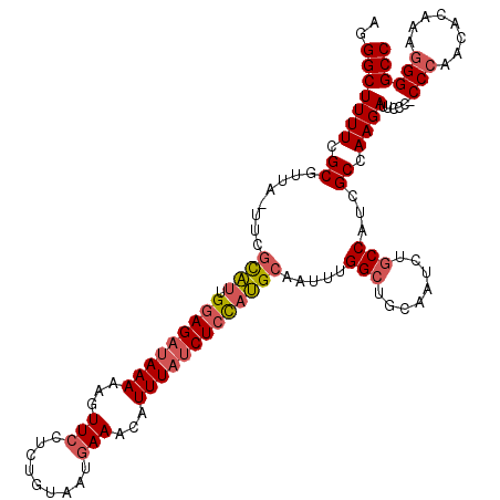 secondary structure