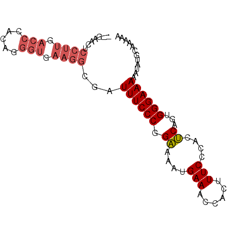 secondary structure