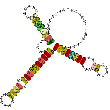 secondary structure