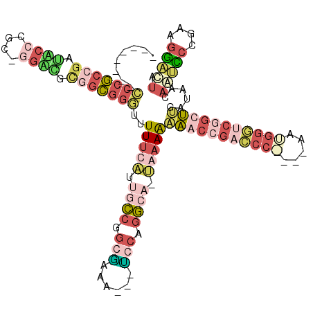 secondary structure