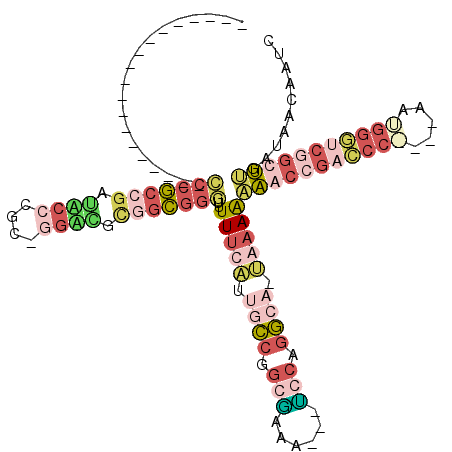 secondary structure
