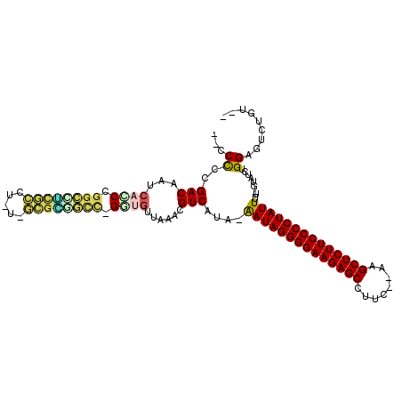 secondary structure