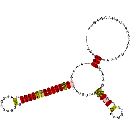 secondary structure