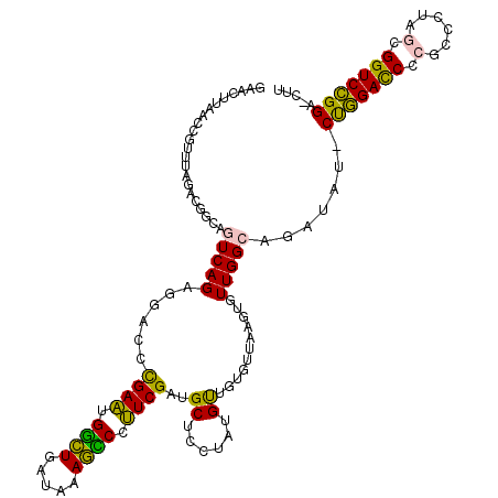secondary structure