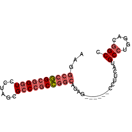 secondary structure