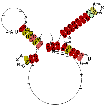 secondary structure
