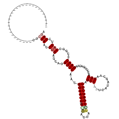 secondary structure