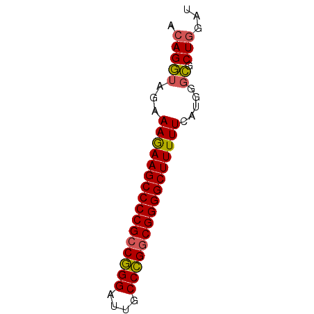 secondary structure