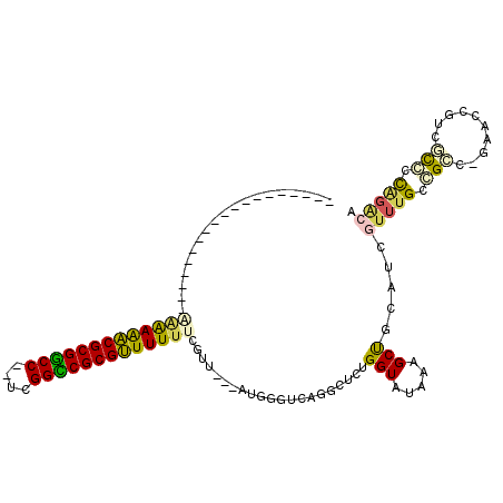 secondary structure
