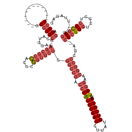 secondary structure