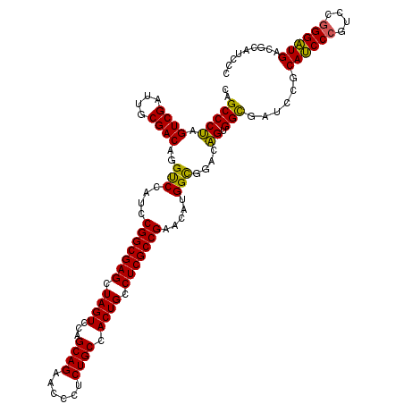 secondary structure