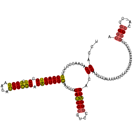 secondary structure