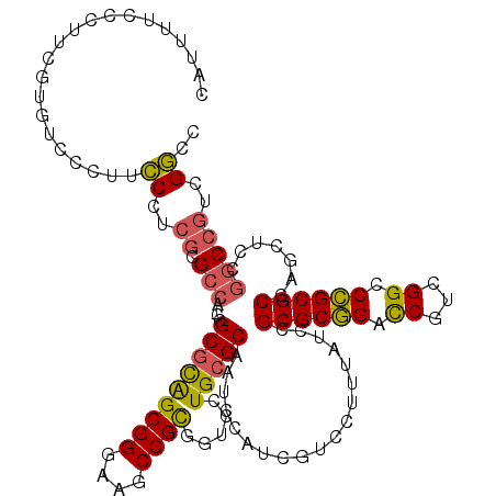 secondary structure