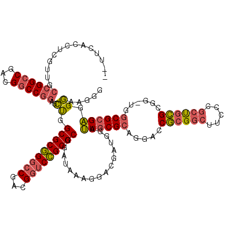 secondary structure