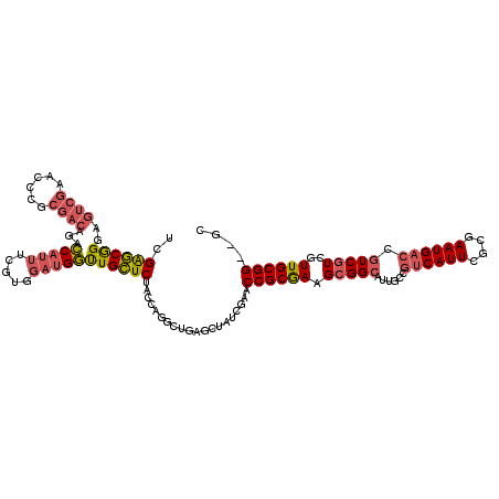 secondary structure