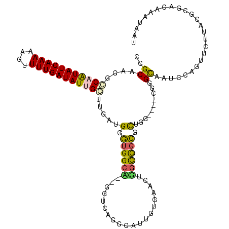 secondary structure