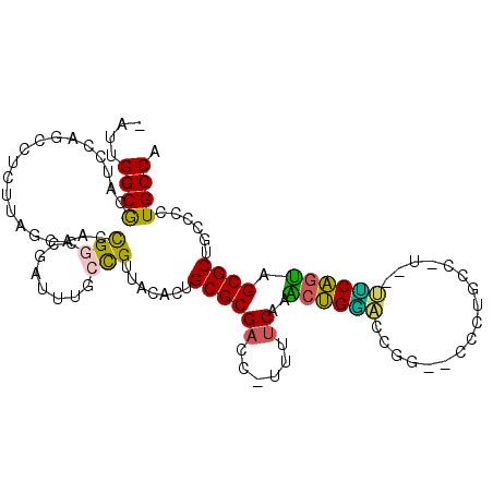 secondary structure