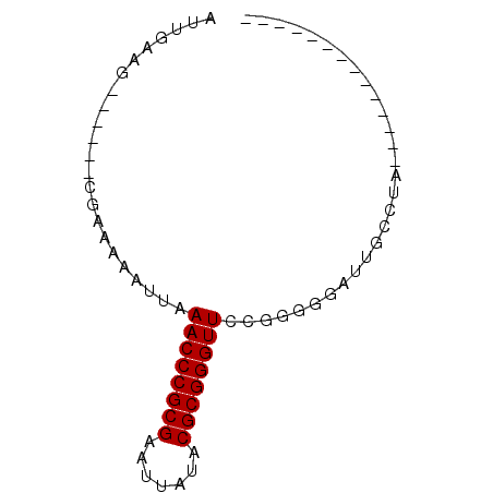 secondary structure