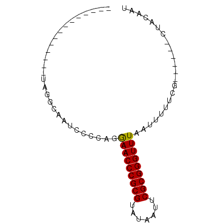secondary structure