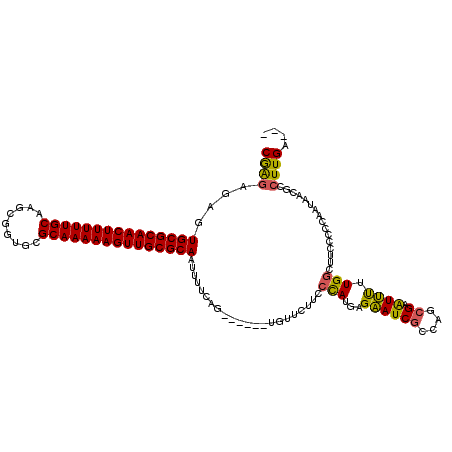 secondary structure