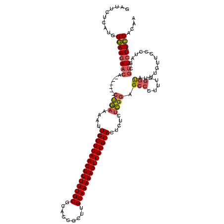 secondary structure