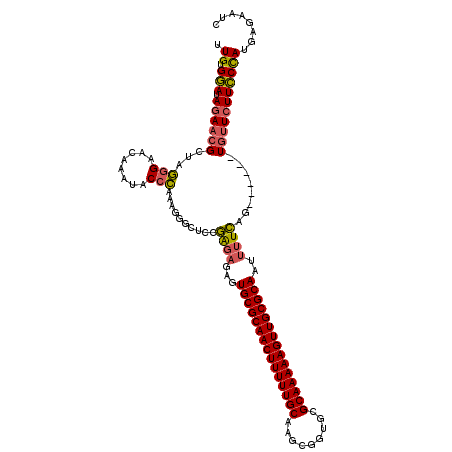secondary structure