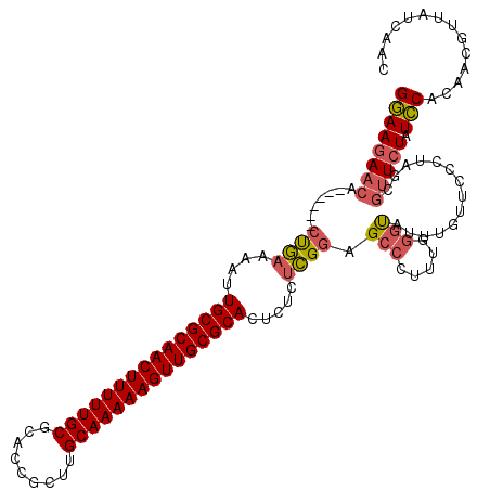 secondary structure