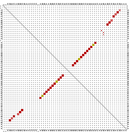 dotplot