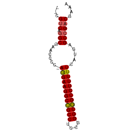 secondary structure