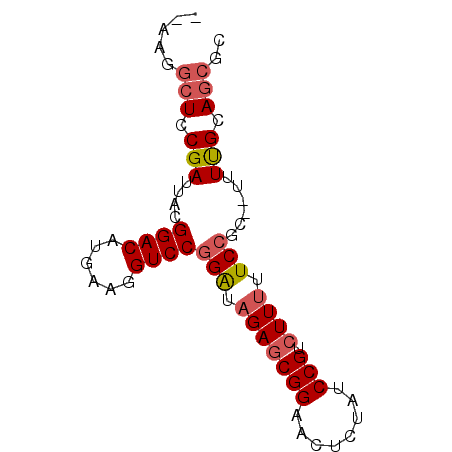 secondary structure