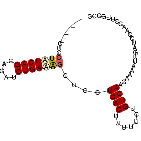 secondary structure