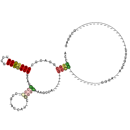 secondary structure