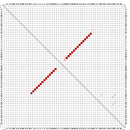 dotplot