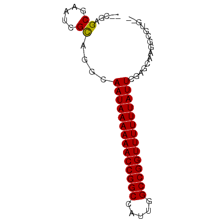 secondary structure