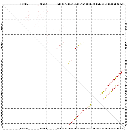 dotplot